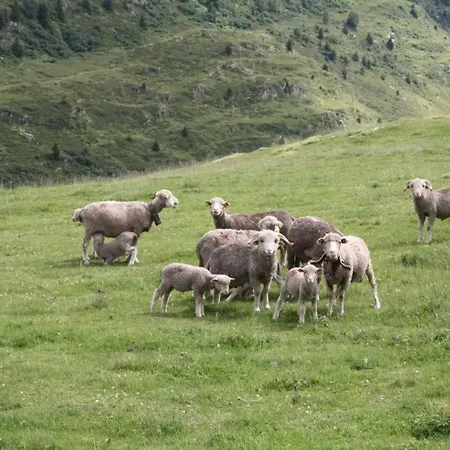 Le Des Sybelles Saint-Sorlin-d'Arves
